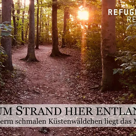 Refugium -- 5 Dtv-sterne, Strandnah, Modern Und Lichtdurchflutet, Sonnenbalkon -- 아파트